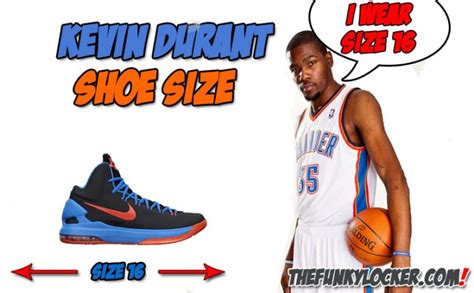 what size is kd shoes